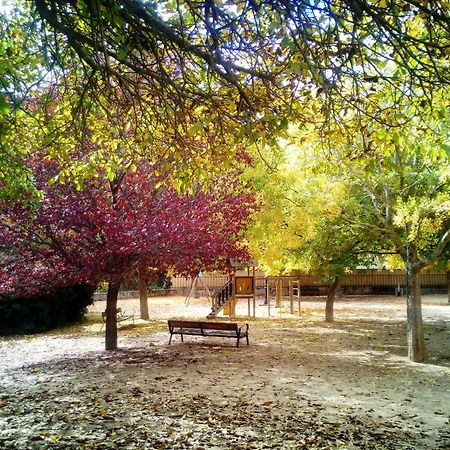 فندق La Noguera Palomera المظهر الخارجي الصورة