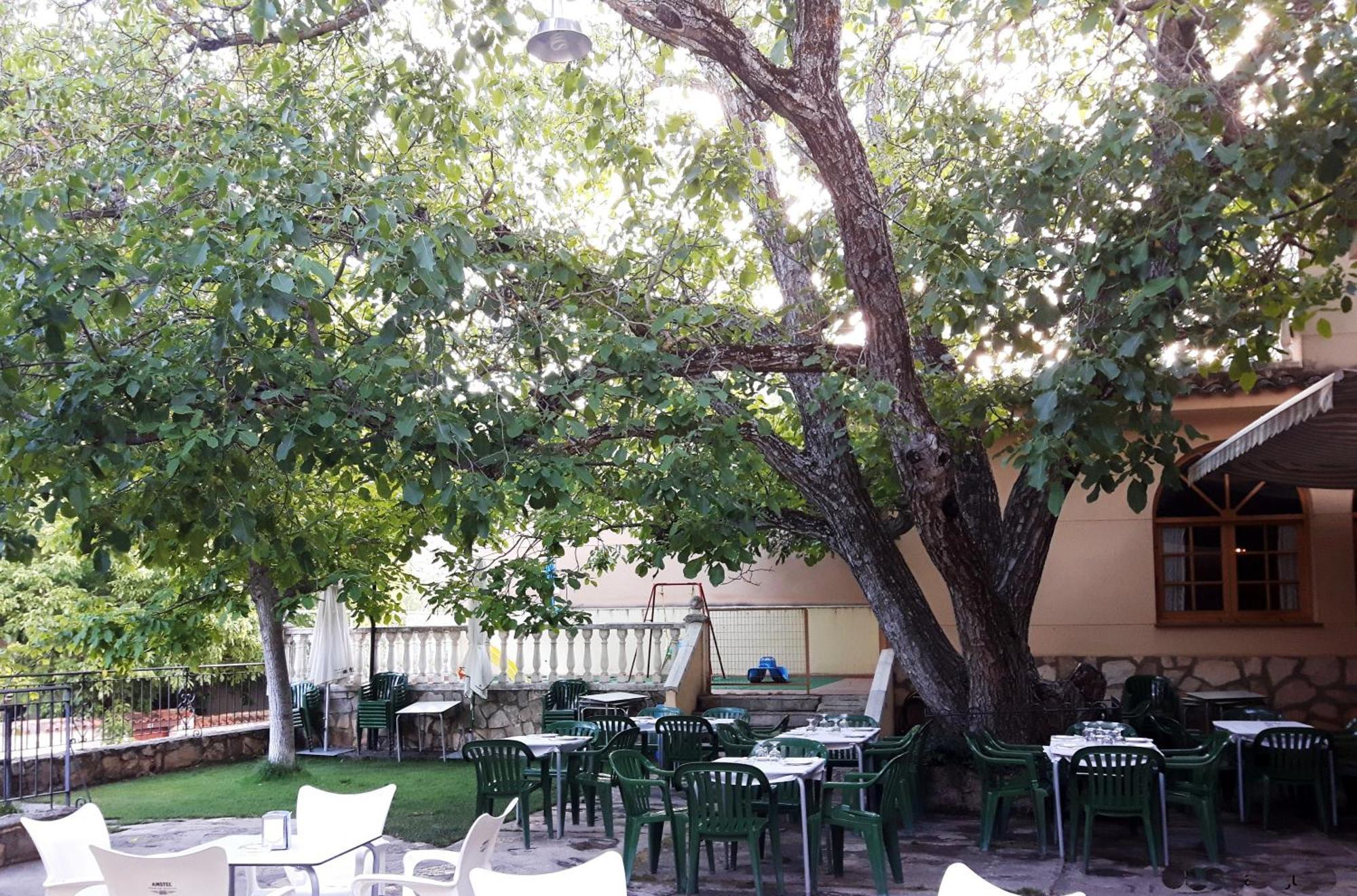 فندق La Noguera Palomera المظهر الخارجي الصورة